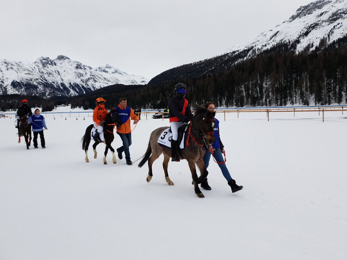 Pferde und Reiter beim White Turf auf dem St. Moritzersee